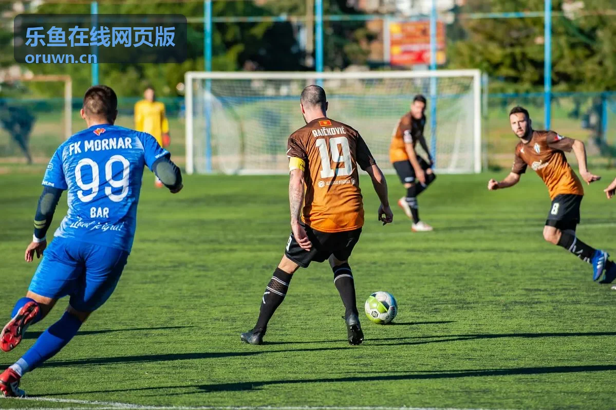 乐鱼在线网页版都市剧集分类条目封面
